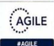Agile Project Leadership & Frameworks