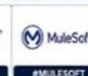 MuleSoft Certified Developer &ndash; Level 1 (Mule 4)